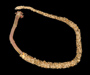 Owenis fusiformis (shingle tube worm) in tube, from Morris Island, Charleston Harbor, SC